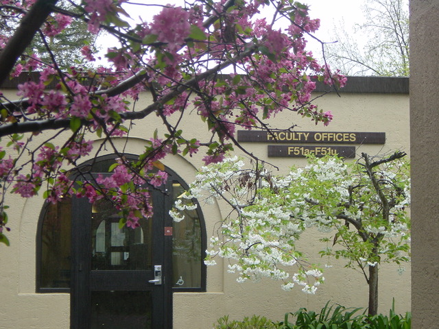 De Anza campus, building F5, flowering branches in foreground